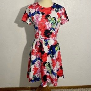 Milly x Design Nation Rosabella Floral Party Dress Women’s Size 10 Fit & Flare
